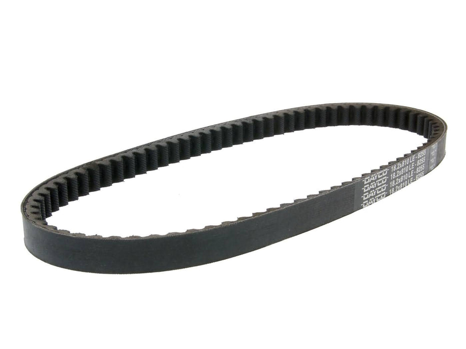 drive belt Dayco for Rex RS900 - 810-30-18